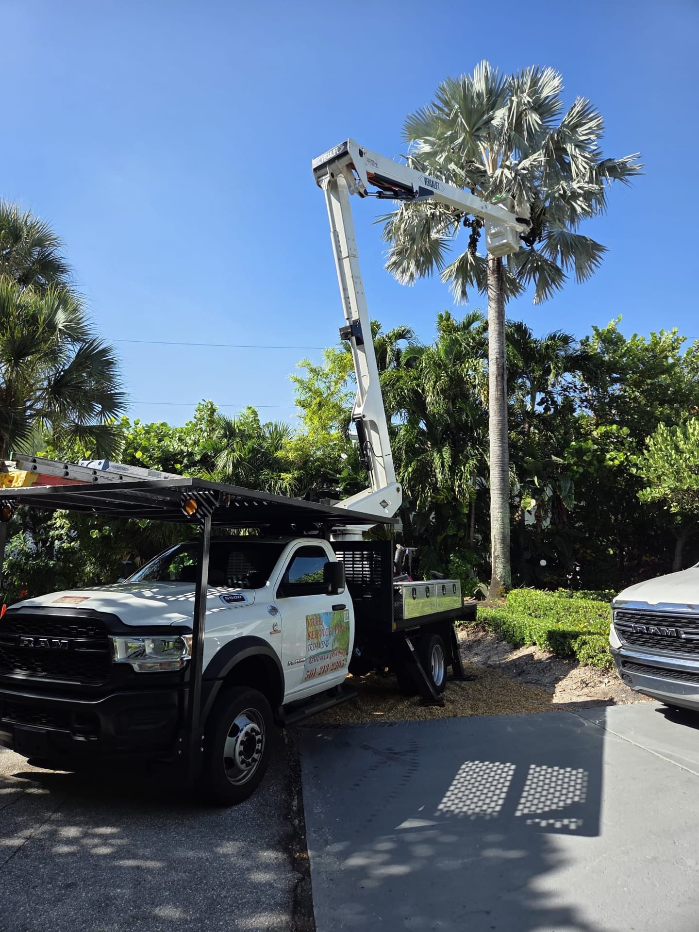 Example of emergency tree services work Example of emergency tree services work